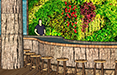 the green organic restaurant design