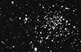 The night sky murals