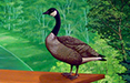 the adpro mural