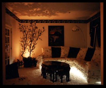 carlos baerga home decor by john rivera-resto, lighting test, 1994