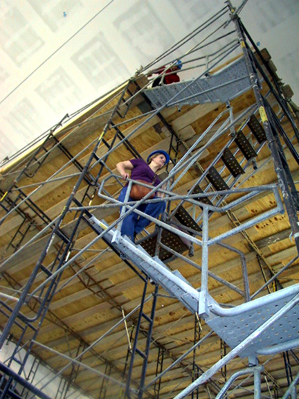 up-and-down-ladder-system