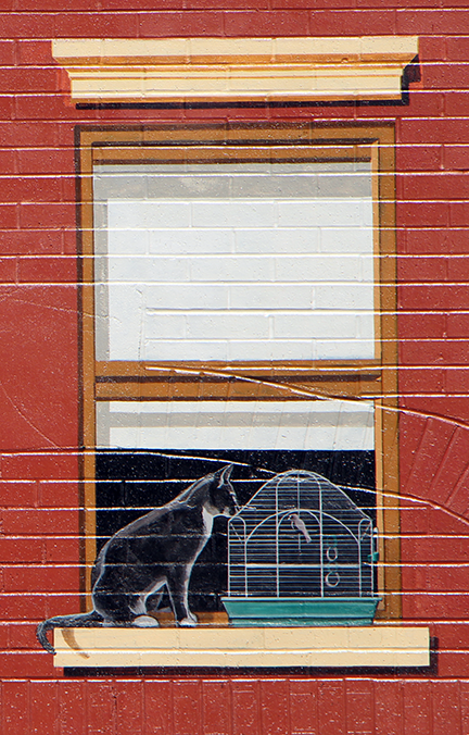 the cat and the canary window