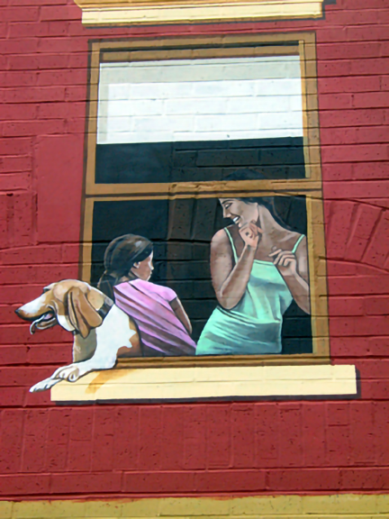 window with dog