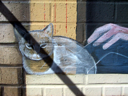 detail of cat being blocked