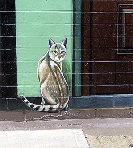 the barber's cat completed