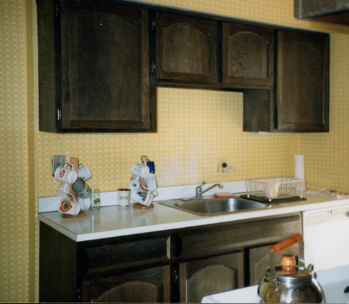 lewis apartment murals before kitchen detail