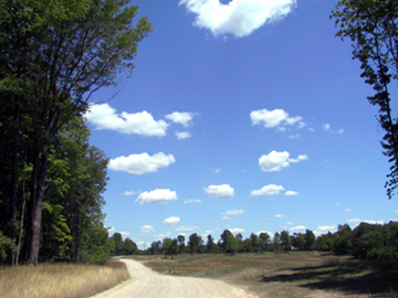 unpaved road to the wolstein estate