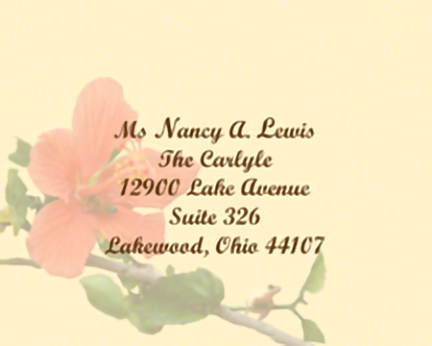 rivera-resto-lewis-wedding-front-side-of-reply-card-envelope