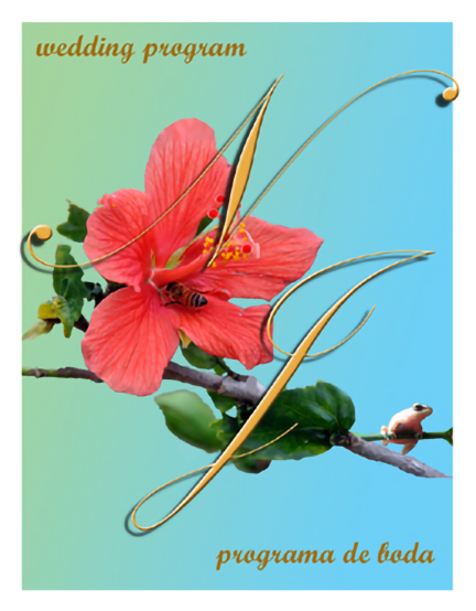 rivera-resto-lewis-wedding-program-cover